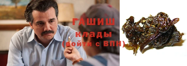 молекула духа Осташков
