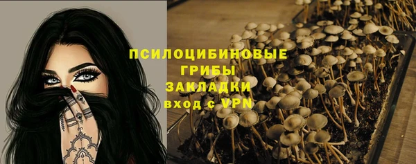 гашик Беломорск