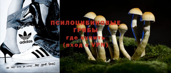 молекула духа Осташков