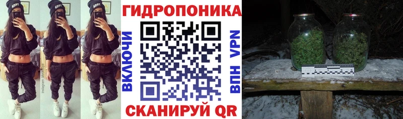 Бошки Шишки Amnesia  Семикаракорск 